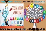 Social Media Marketing Services in Delhi Required