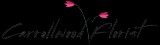 Carrollwood Florist