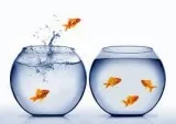 commercial moving services toronto  hobbsmovingcompany.c om