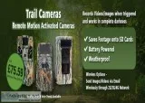 Bird Feeder Cameras  Ukwildlifecameras.co .uk