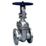 Duplex Gate Valve Manufacturer in Italy