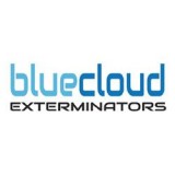Termite Inspection Burbank