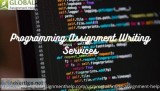 Searching for Programming Writing Assignment Help online at a lo