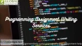 Searching for Programming Writing Assignment Help online at a lo