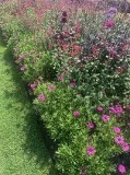 Landscaping Companies in London  Terrafloragardendesi gn.com