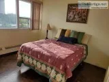 Looking for Male roommate