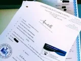ULSTER COUNTY APOSTILLE SERVICES (All Birth Marriage Divorce and