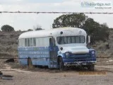 1955 Chevy Bus
