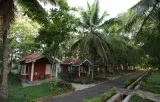 Yoga and Naturopathy Degree in India 2020-21
