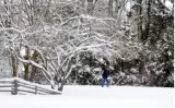 Langley Snow Removal  Snowlimitless.com