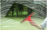 Cleaning services Tauranga  Tauranga professional cleaning servi