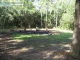 Offering-Free Clean Fill Dirt and Topsoil-No Limit