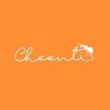 Best Digital Marketing Consultant in Delhi-Cheenti
