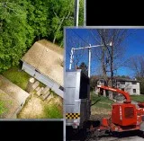 Tree removal service in Oshawa