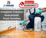 Termite control treatment in Zirakpur