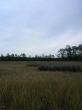 (124) acres of Land in Newport  205 Hardesty Farm Road