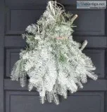 Purchase Snow-Tipped Fraser Fir Live Greens - 2 Lbs.