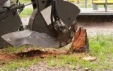 Contact us and obtain an affordable stump grinding service in Go
