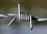 Concertina Wire Manufacturers in India
