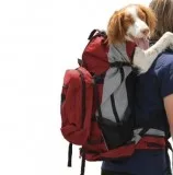 K9 Sport Sack Rover - Red