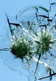 Affordable Windscreen Replacement Cost in Sydney