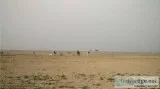 4640 Sq Yards commercial Plot in High access Corridor Panchi Vil