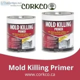 Mold killing Primer