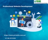 Professional Website Development