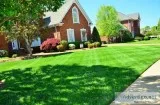Lawn Service