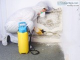 Why you need Mold Removal Naples FL