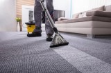 Get Top-Quality Carpet Cleaning in Denver