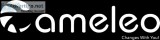 Interchangeable Footwear  Cameleo