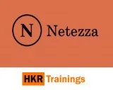 Netezza training