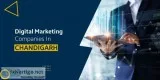 Digital Marketing Companies in Chandigarh