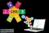 Dynamic Website Designing company in Delhi