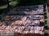 Wanted To Buy Large Amounts of Firewood at Wholesale Prices
