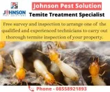 Termite control treatment in zirakpur