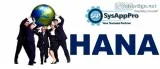 SAP HANA Training in Gurgaon