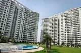 4 BHK Service Apartments in DLF The Icon for Rent