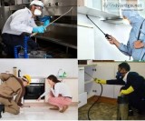 Home Mosquito Control in Bradenton