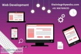 Mobile App Development Company  theintegritywebs.com