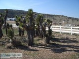 Fireproof heatproof and impact-proof- the best vinyl fence is at
