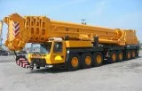 Hydraulic Crane Rental Service