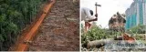 architectural consultant services architecture consultants India