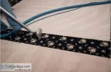 Carpet Cleaning