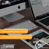 Expert Website Designing at Lower Cost  Clickstree