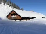 All You Need to Know About Removing Snow From Your Home This Win