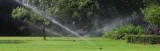 landscape contractor Newton