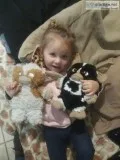 PLEASE FIND GIZMO (Gremlins Movie stuffed animal)