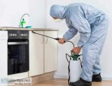 Cockroach Control service in Bradenton